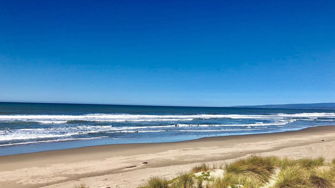 Photo of Others in Pajaro Dunes