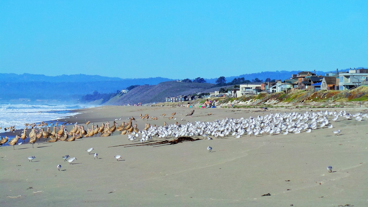 Photo of Others in Watsonville