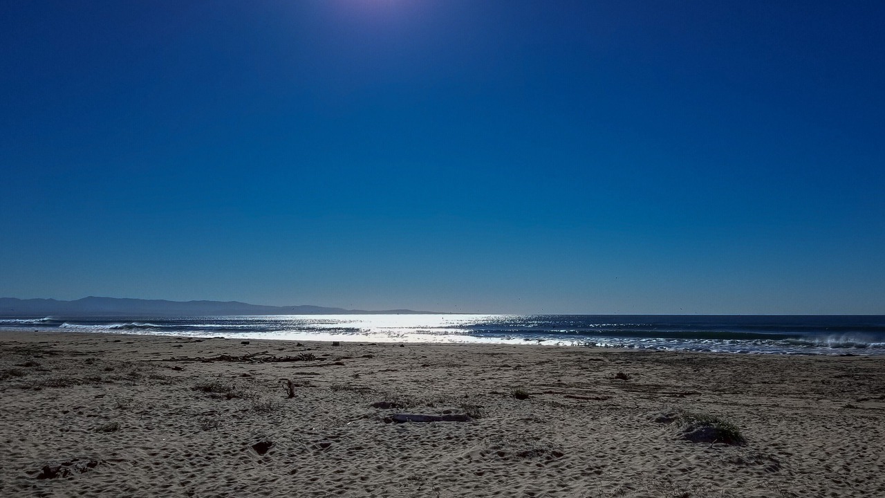 Photo of Others in Pajaro Dunes