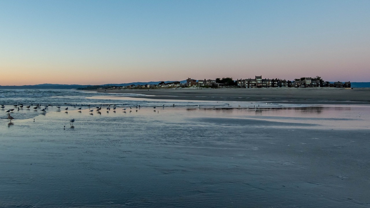 Photo of Others in Pajaro Dunes