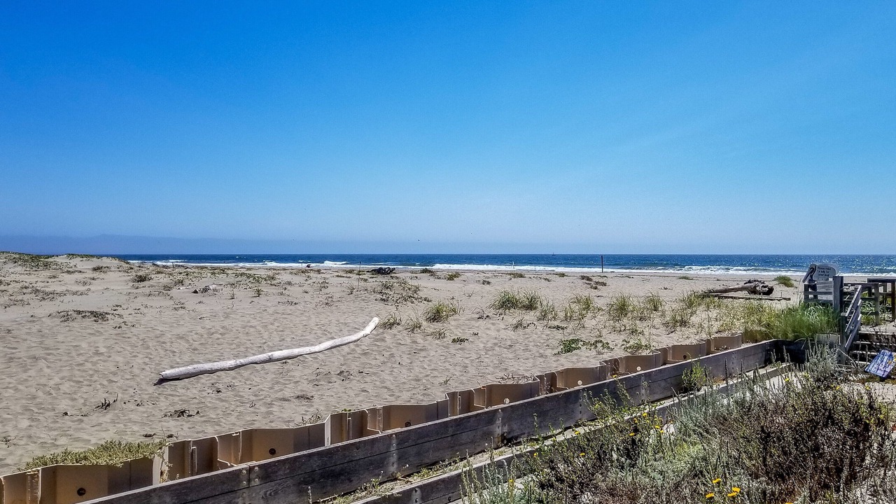 Photo of Others in Pajaro Dunes