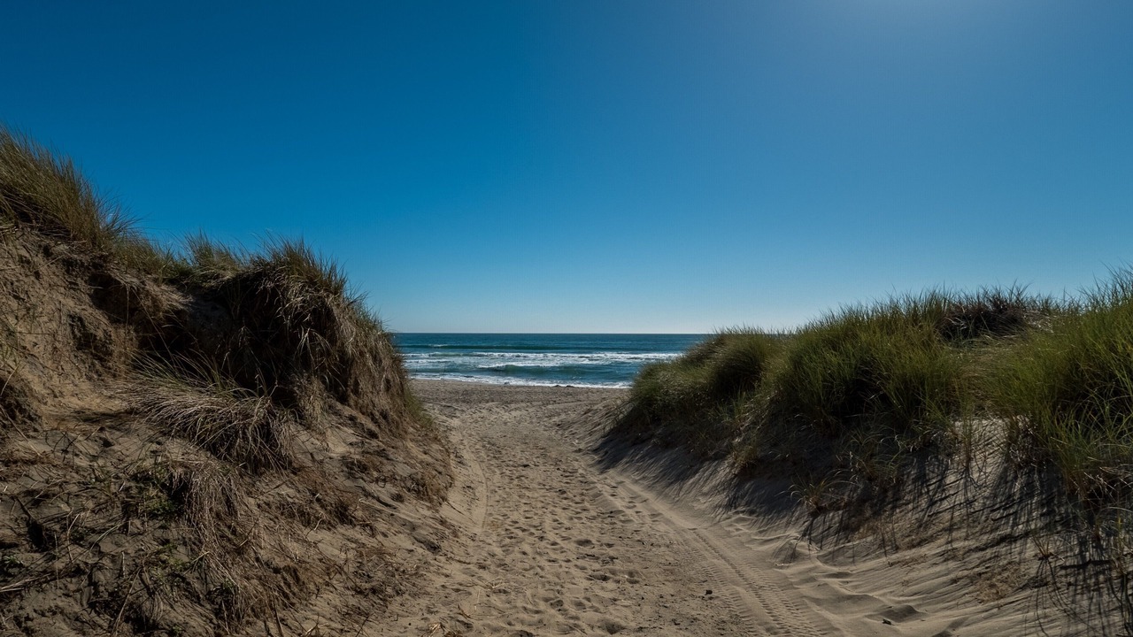Photo of Others in Pajaro Dunes