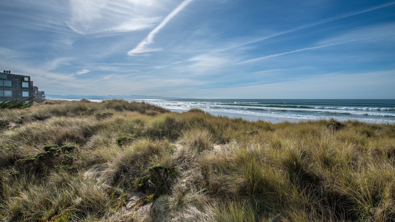 Photo of Others in Pajaro Dunes