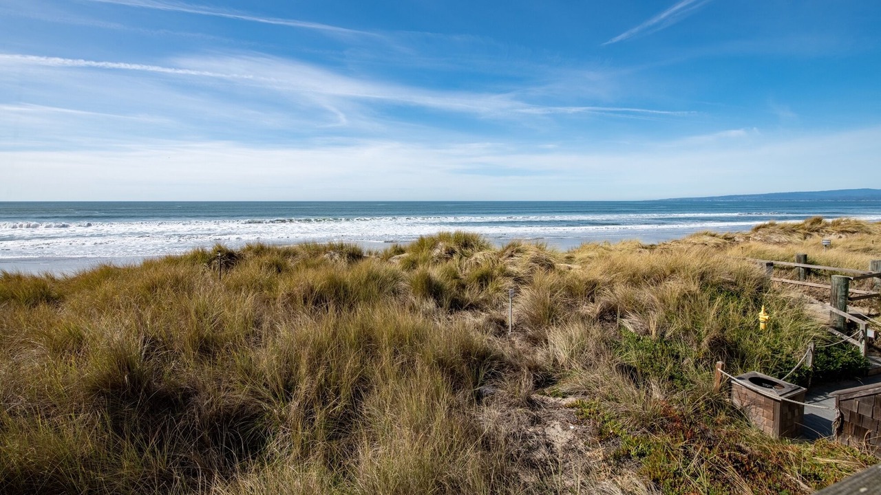 Photo of Others in Pajaro Dunes