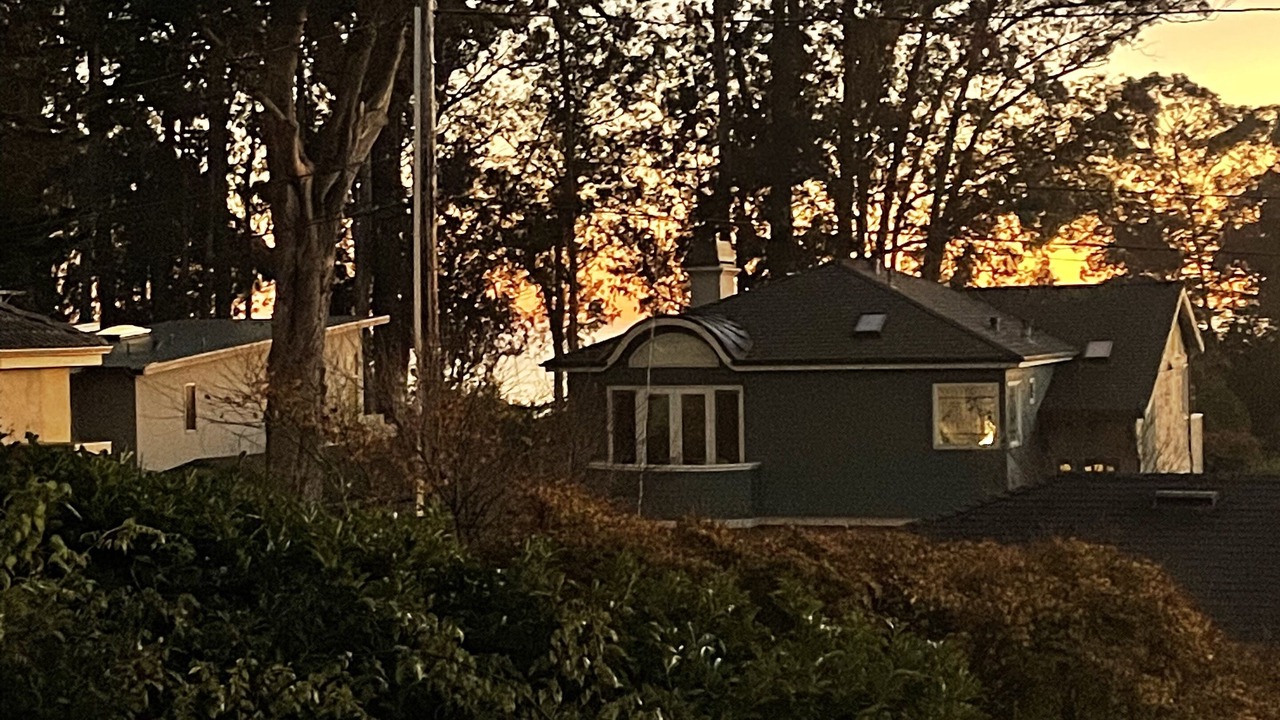 Photo of Outdoor in Opal Cliffs