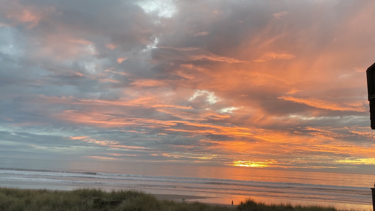 Photo of Others in Pajaro Dunes