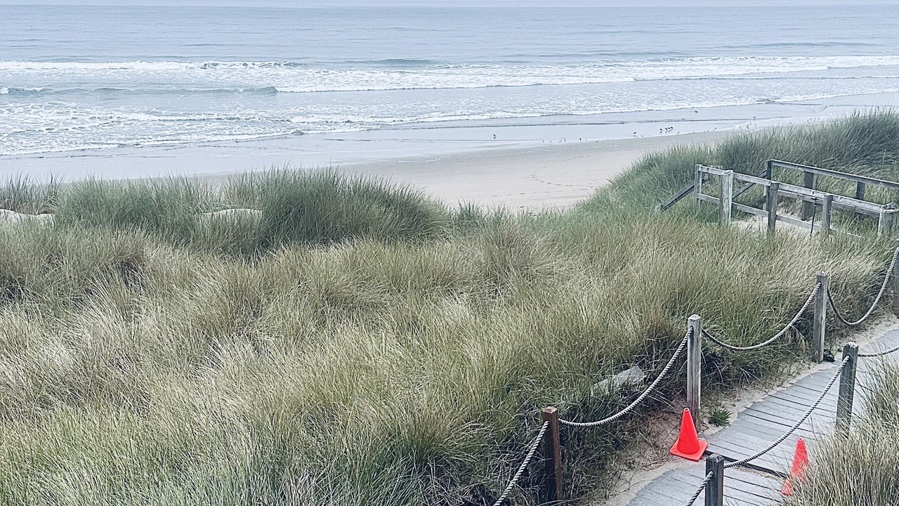 Photo of Others in Pajaro Dunes
