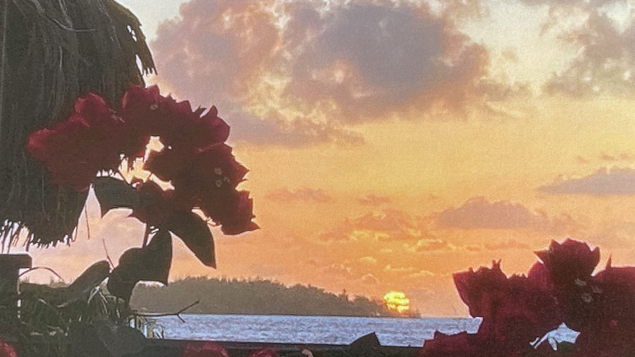 Photo of Others in Bora Bora