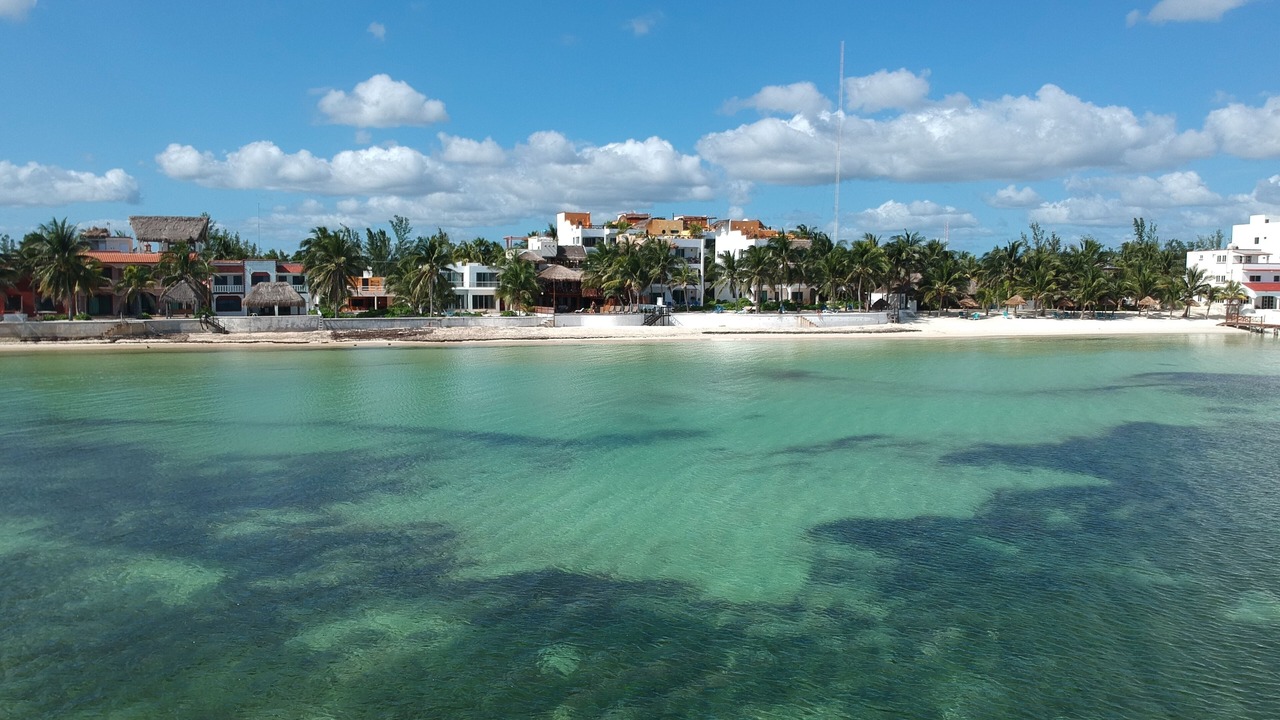 Photo of Others in Puerto Morelos