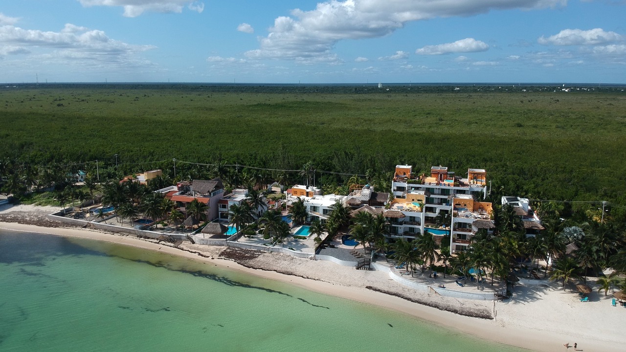 Photo of Others in Puerto Morelos