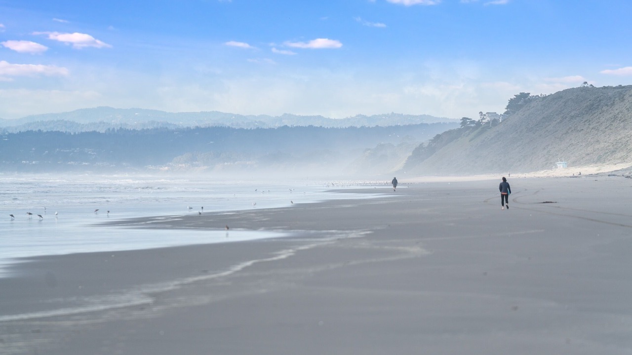 Photo of Others in Pajaro Dunes