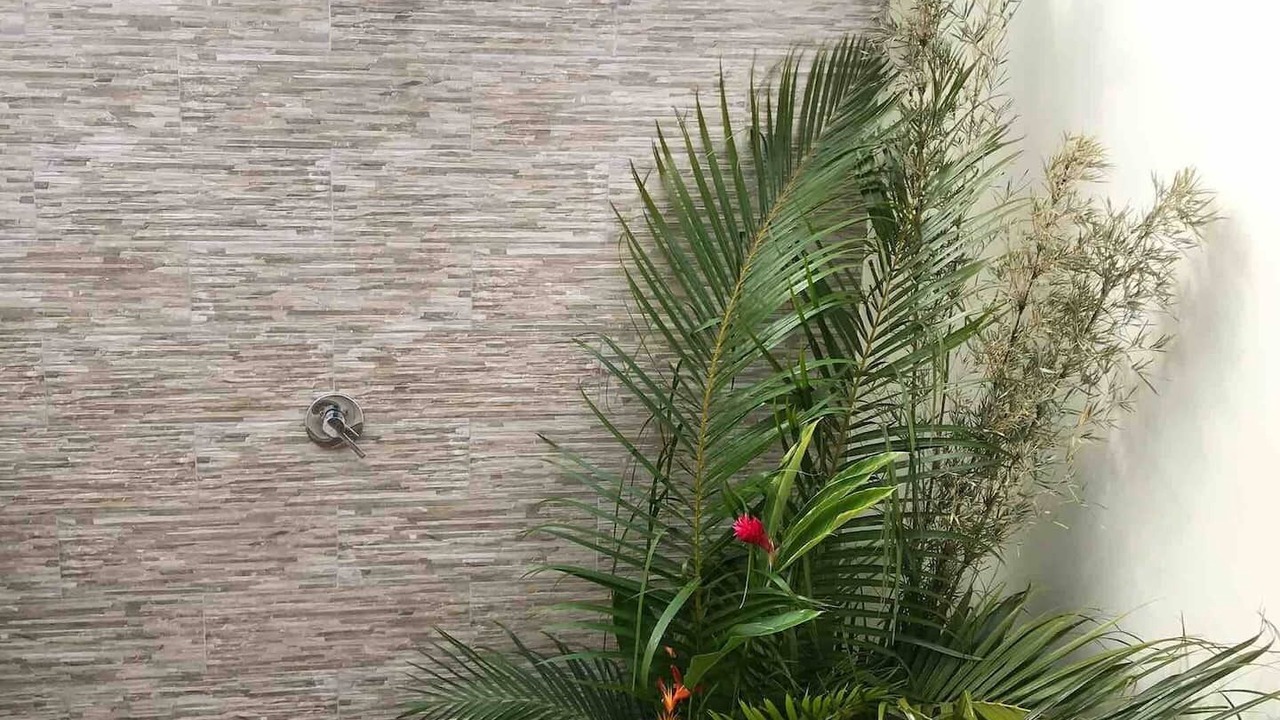 Photo of Outdoor in Teahupoo