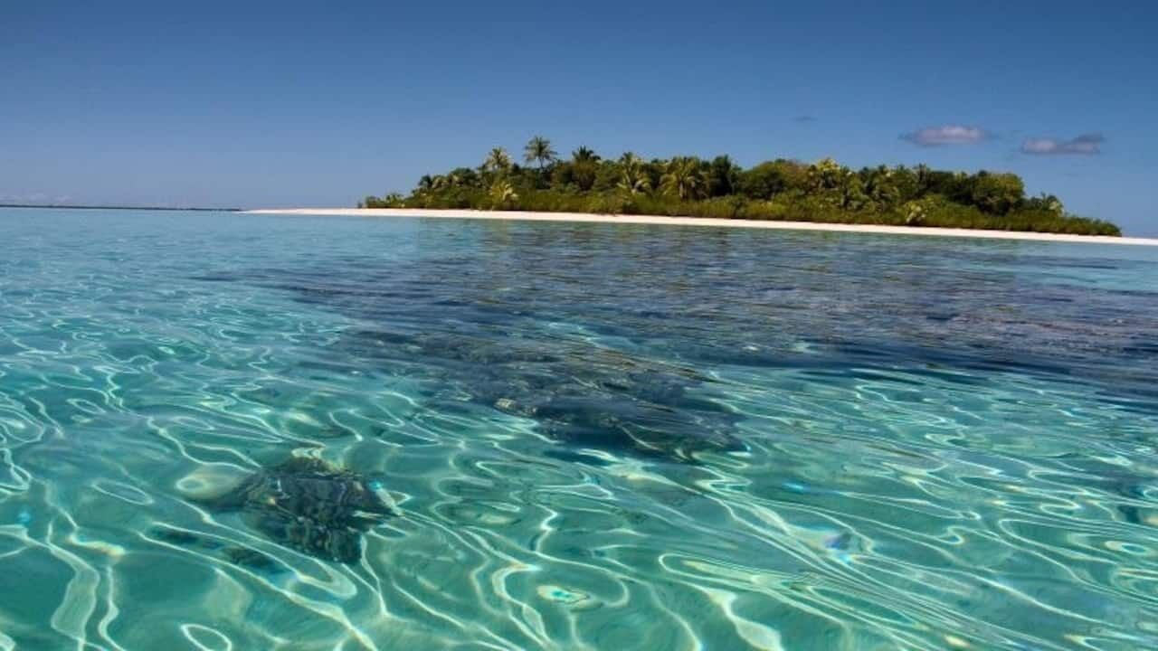 Photo of Others in Teahupoo