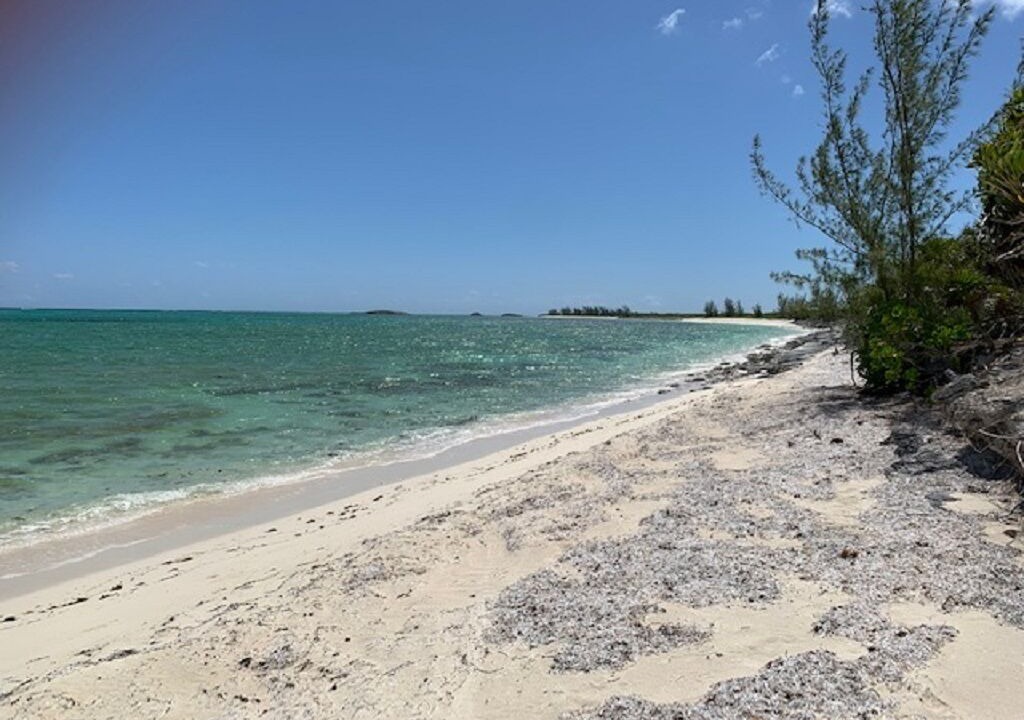 Photo of Others in Sandy Point