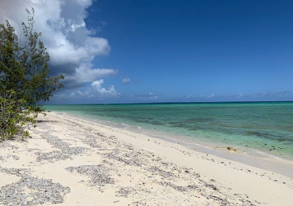 Photo of Others in Sandy Point