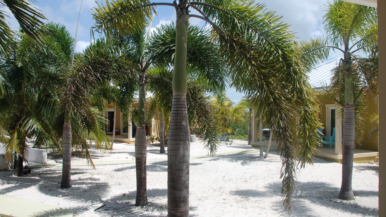 Photo of Outdoor in Sandy Point