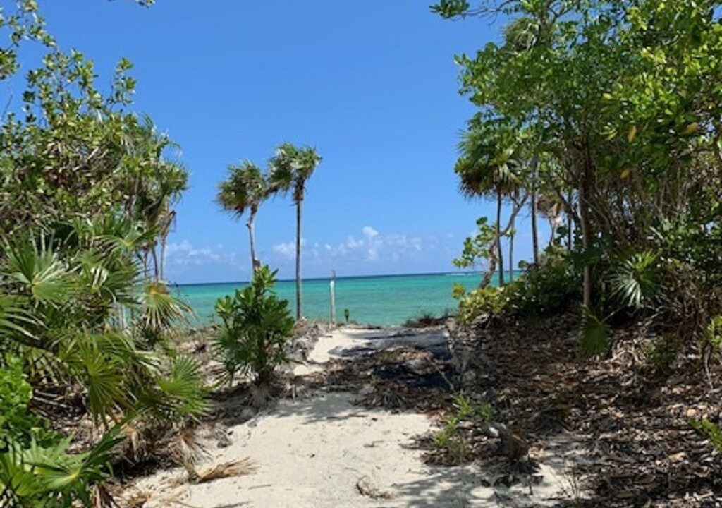 Photo of Others in Sandy Point