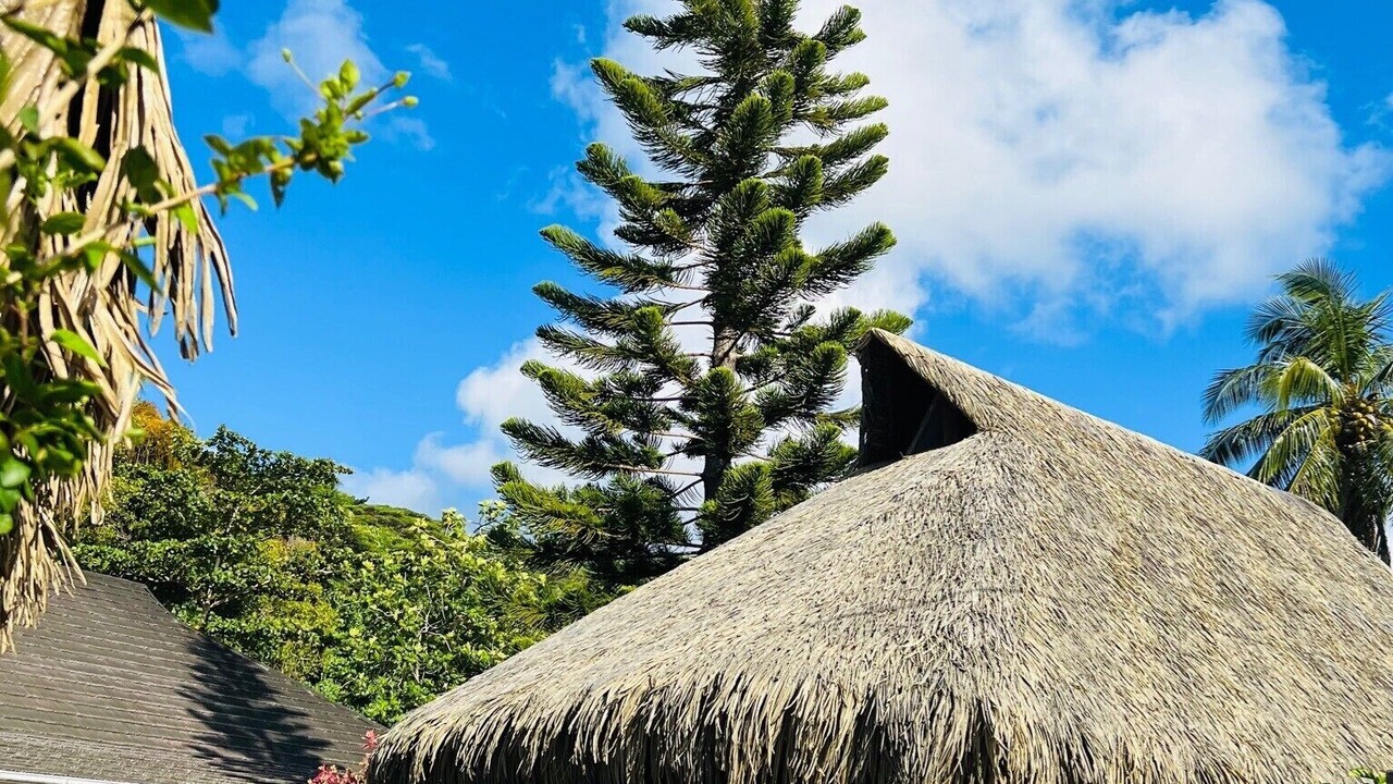 Photo of Outdoor in Bora Bora