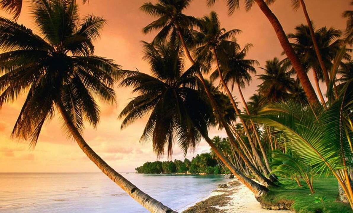 Photo of Others in Bora Bora