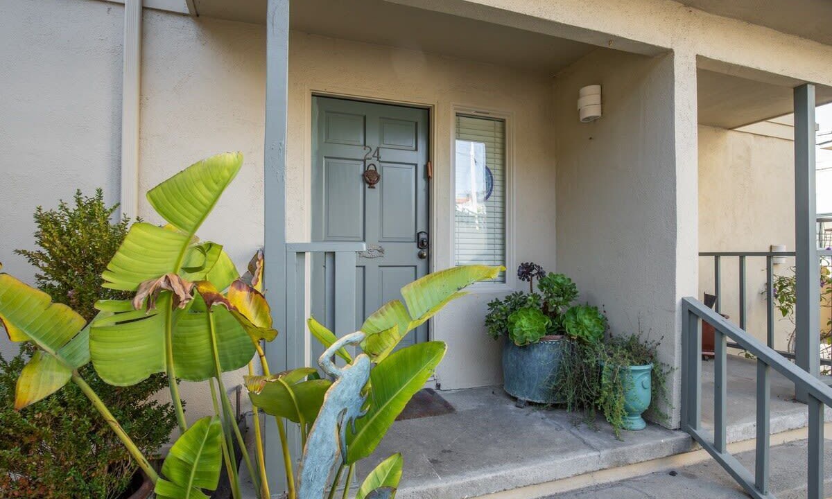 Photo of Outdoor in Rio del Mar