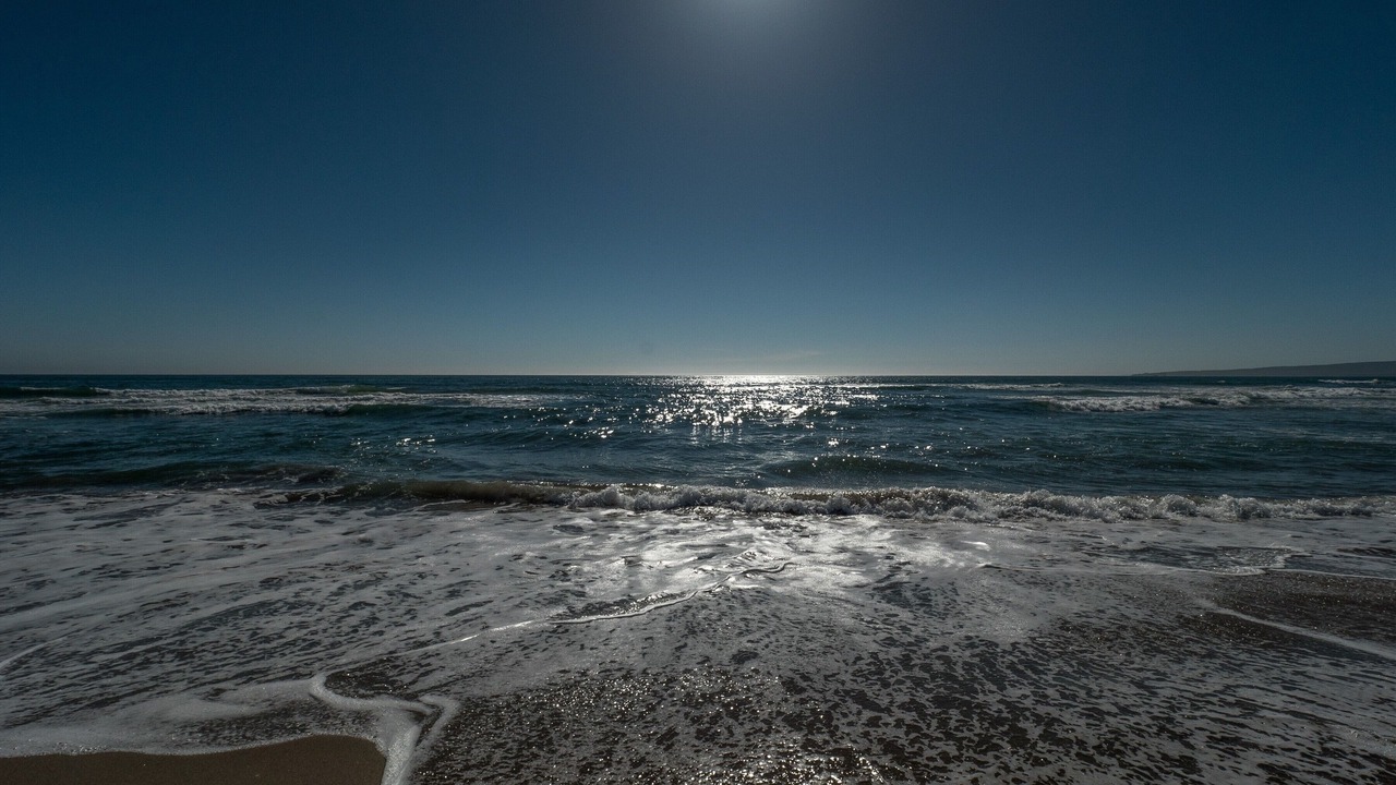 Photo of Others in Pajaro Dunes