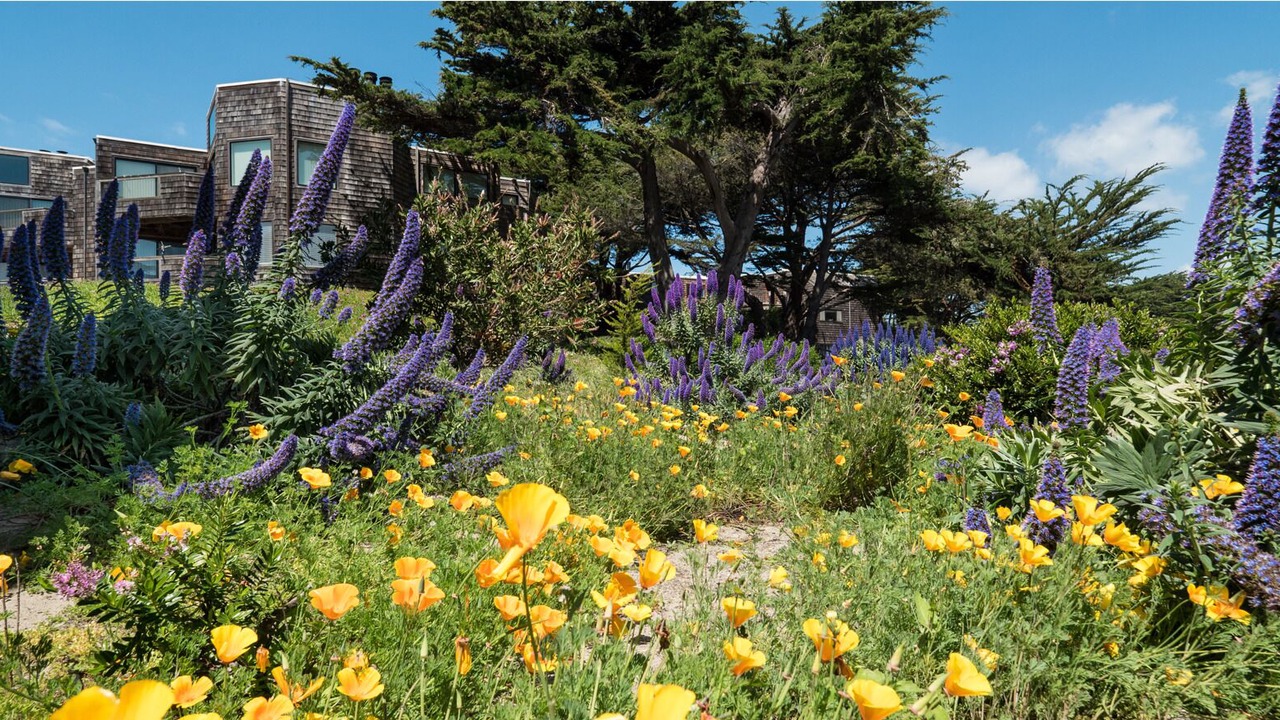 Photo of Outdoor in Pajaro Dunes