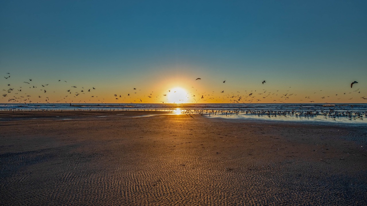 Photo of Others in Pajaro Dunes