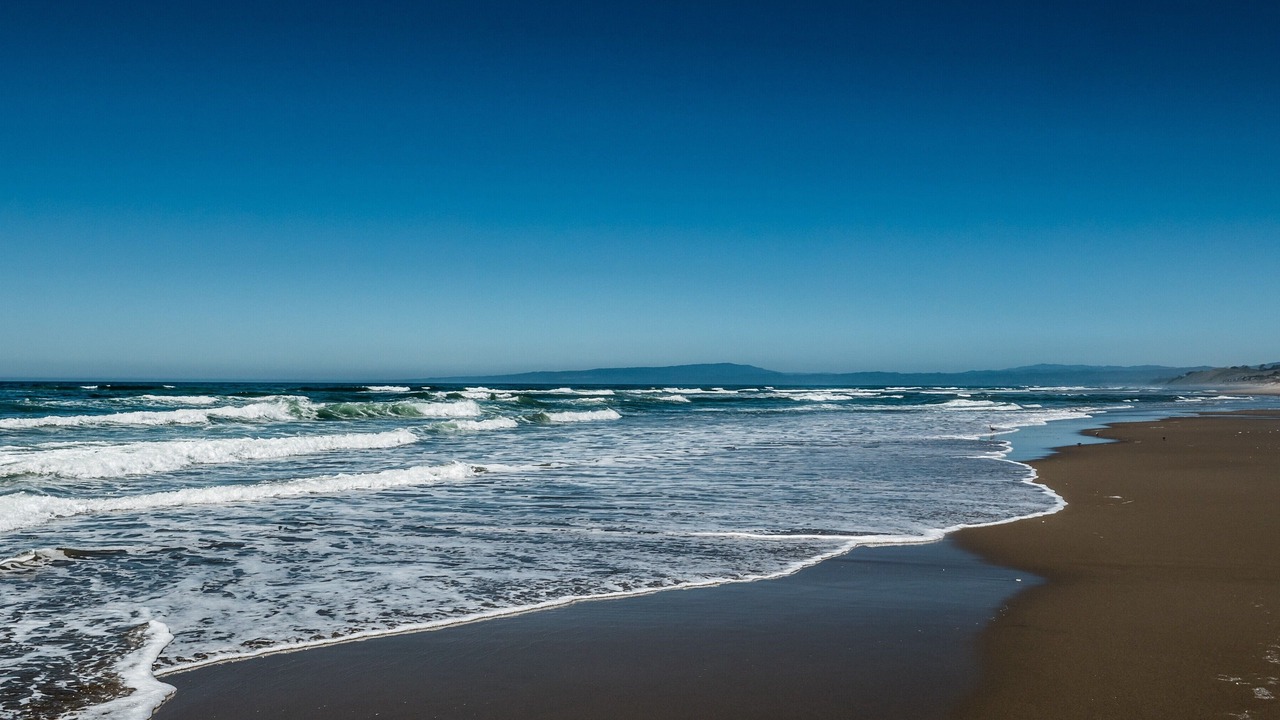 Photo of Others in Pajaro Dunes