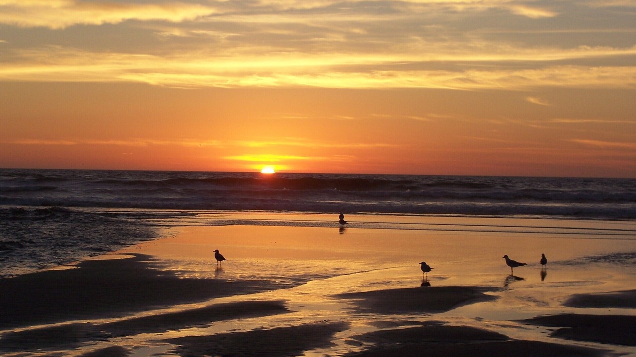 Photo of Others in Pajaro Dunes