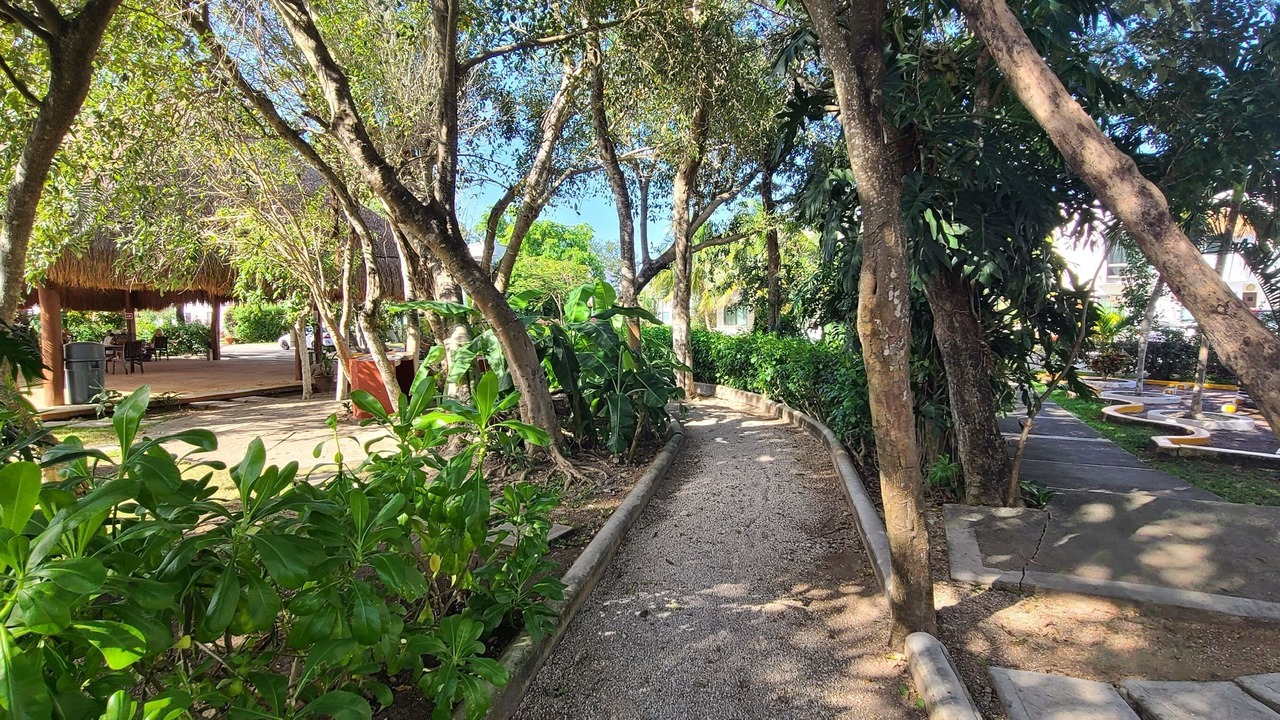 Photo of Outdoor in Villa Juarez