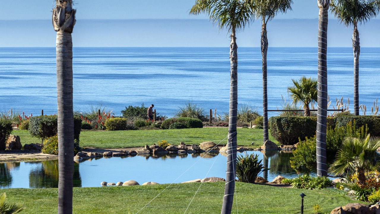 Photo of Others in Rio del Mar