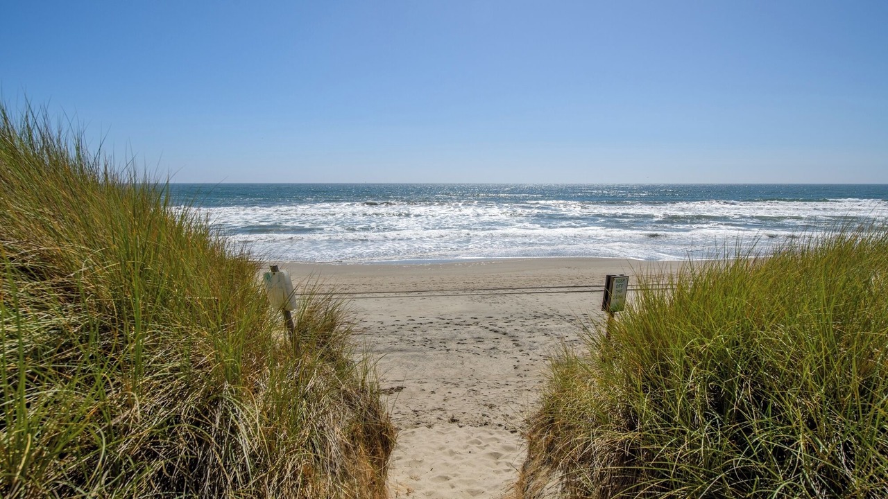 Photo of Others in Pajaro Dunes