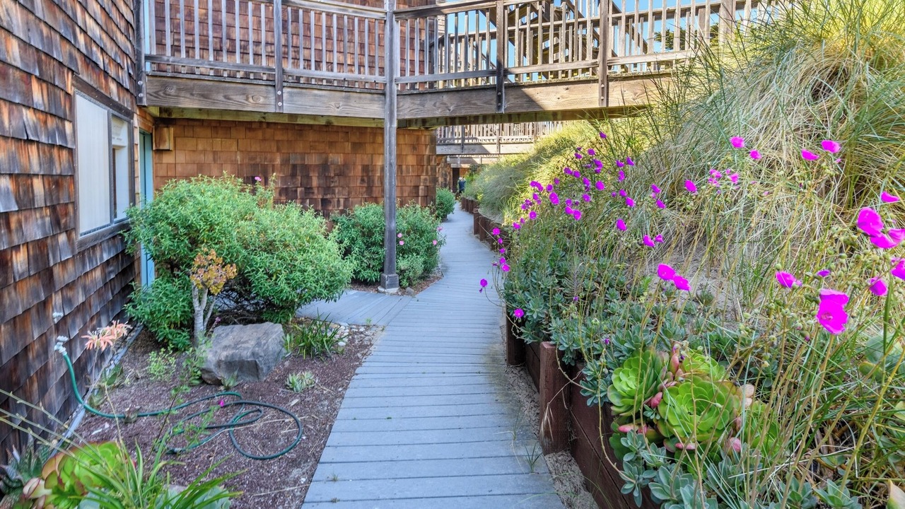 Photo of Outdoor in Pajaro Dunes