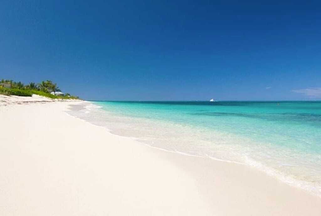 Photo of Others in The Bight