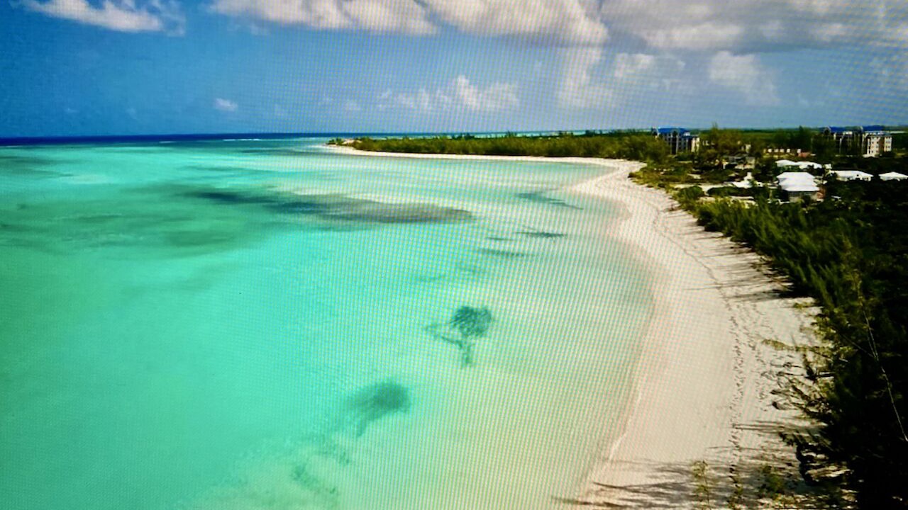 Photo of Others in Sandy Point