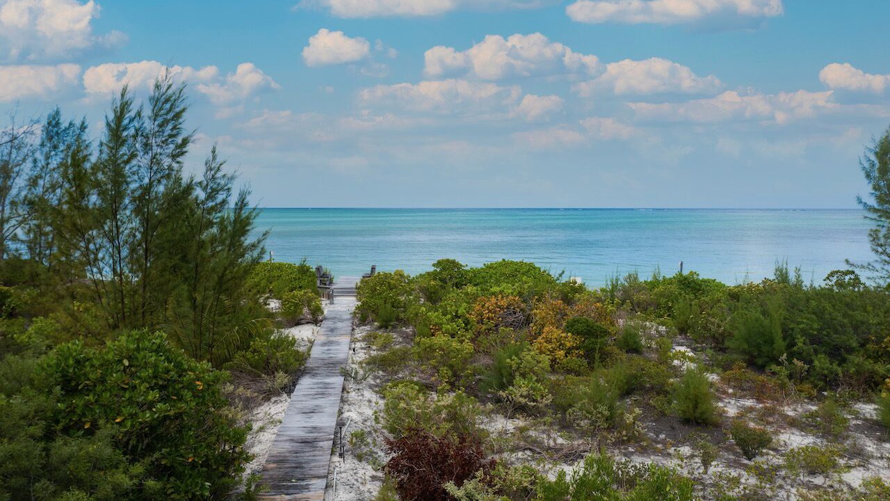 Photo of Others in Sandy Point