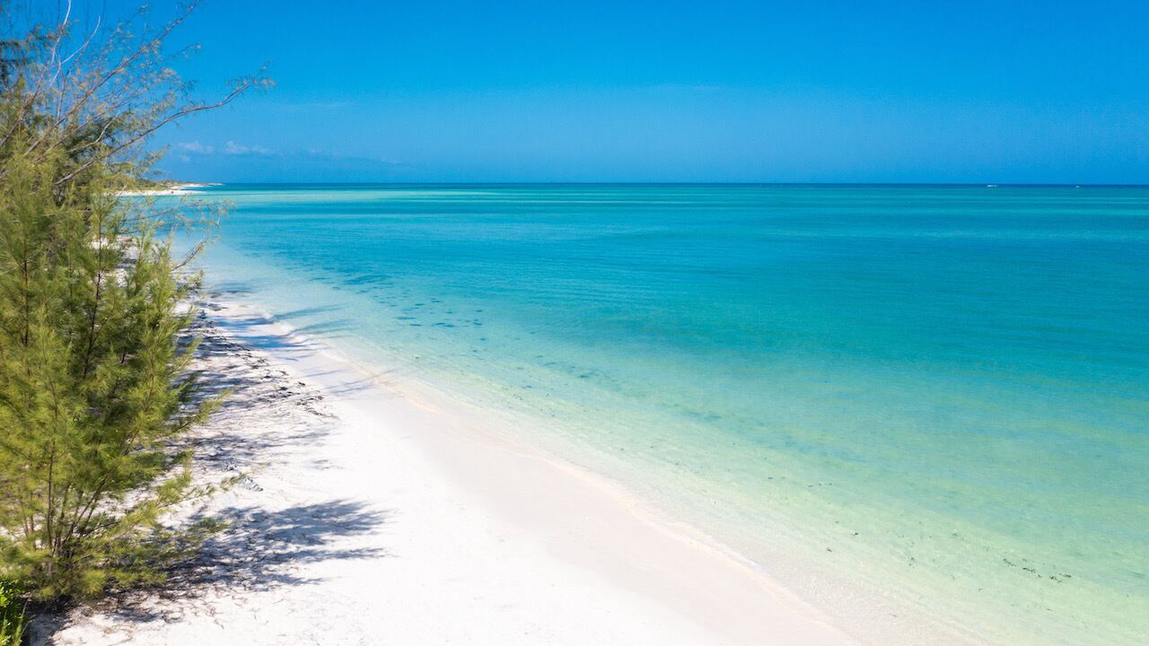 Photo of Others in Sandy Point