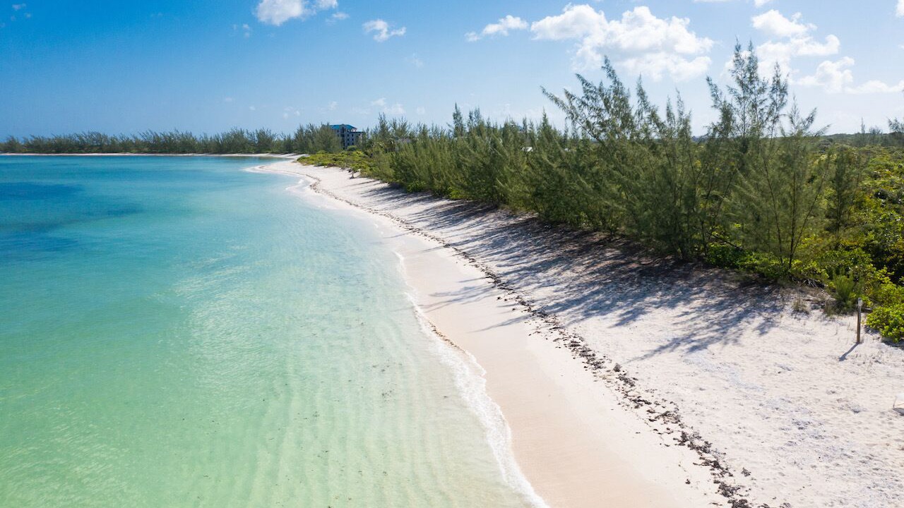Photo of Others in Sandy Point