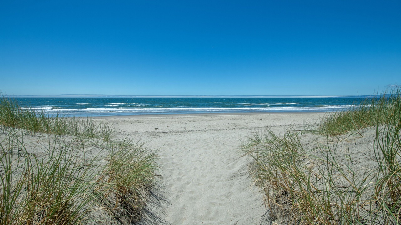 Photo of Others in Pajaro Dunes