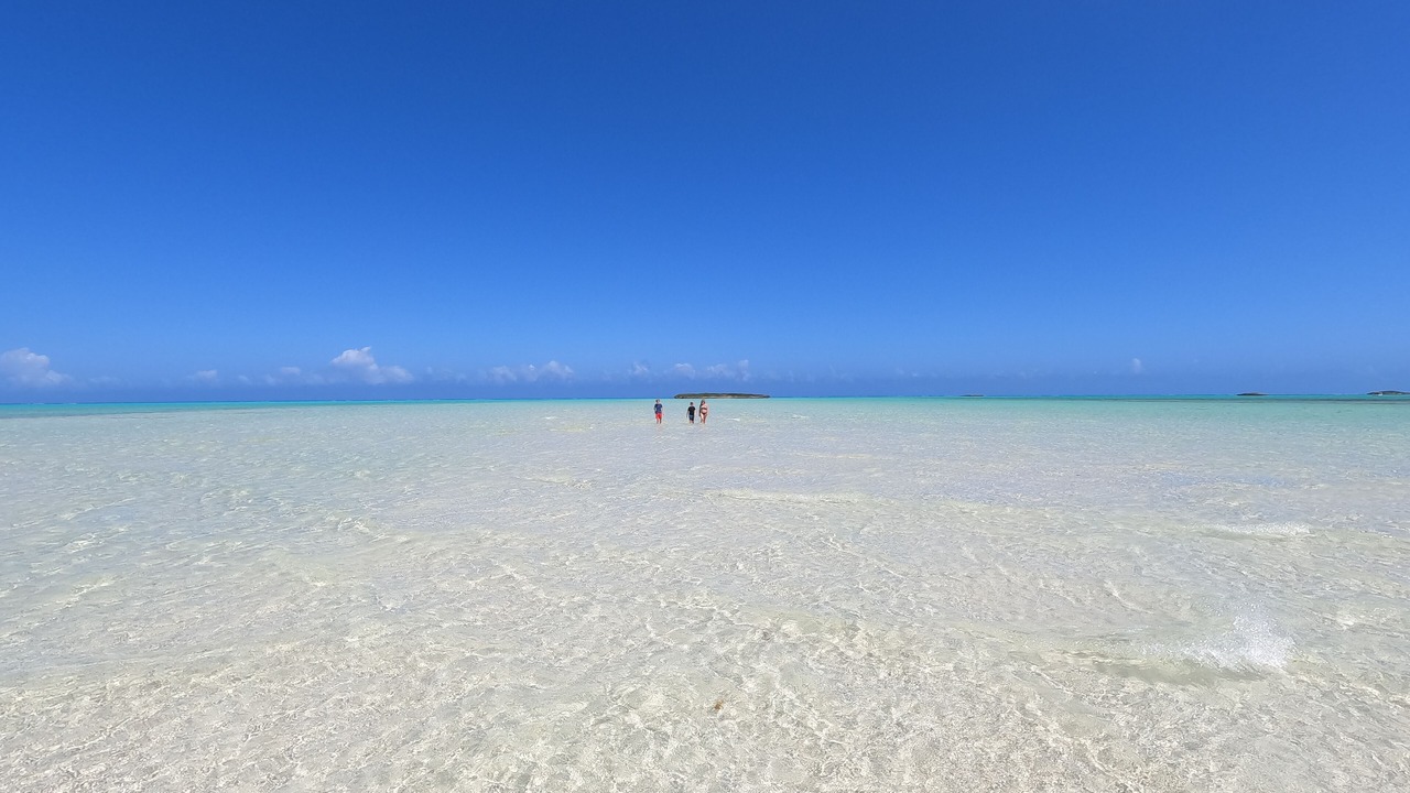 Photo of Others in Sandy Point