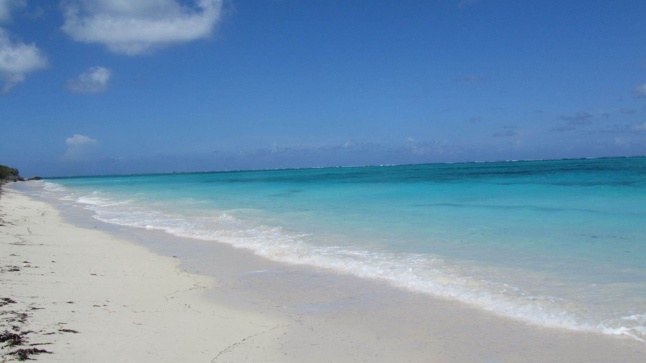 Photo of Others in Sandy Point