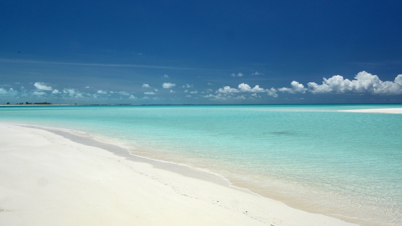 Photo of Others in Sandy Point