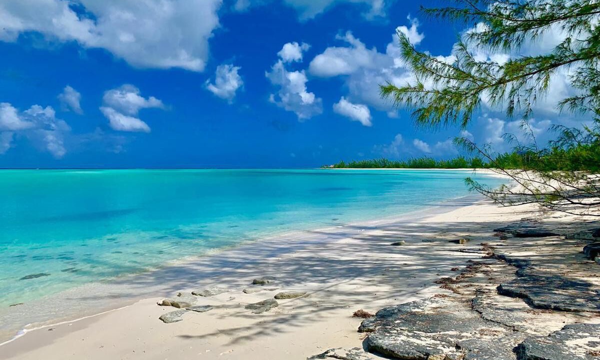 Photo of Others in Sandy Point