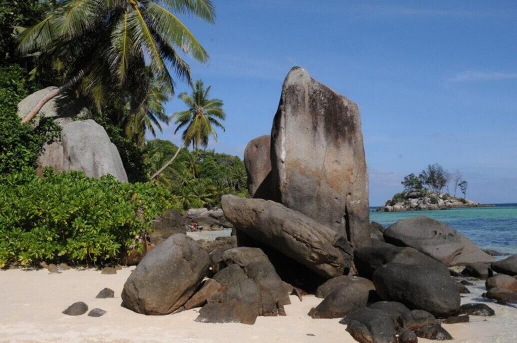 Photo of Others in Anse Royale