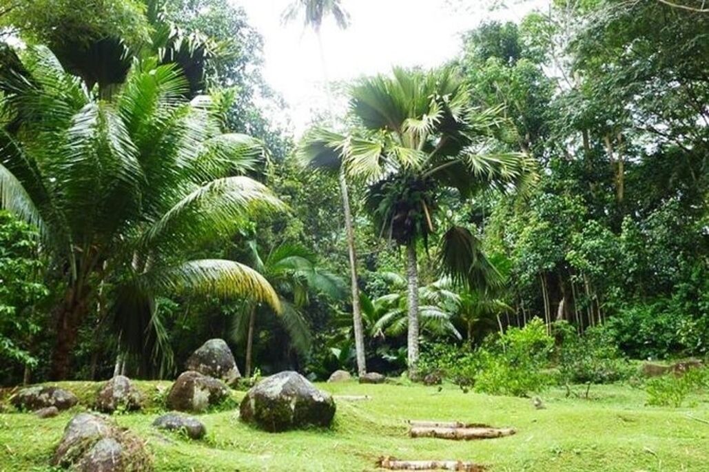Photo of Outdoor in Anse Royale