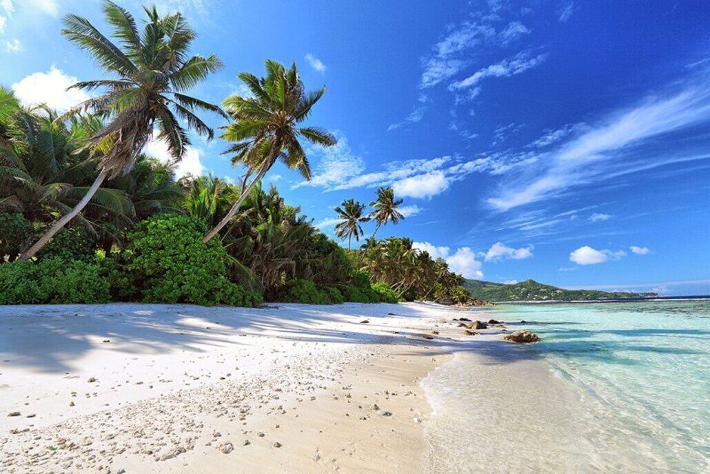 Photo of Others in Anse Royale