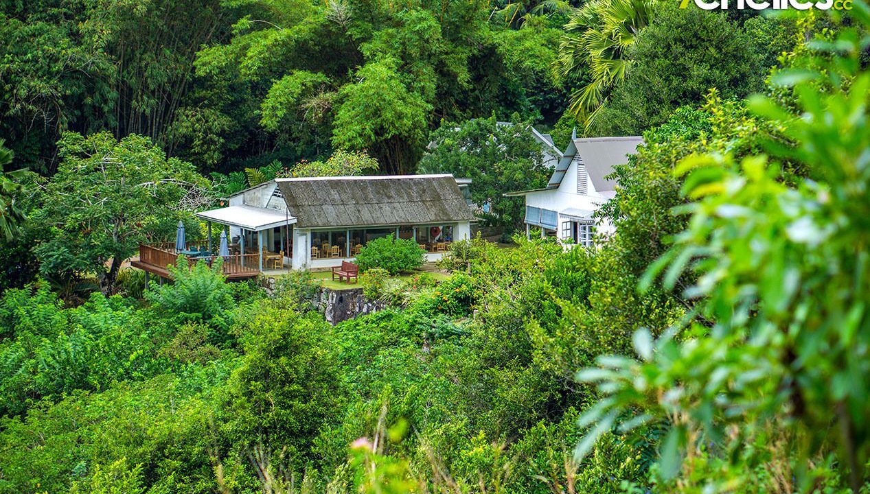 Photo of Outdoor in Anse Royale