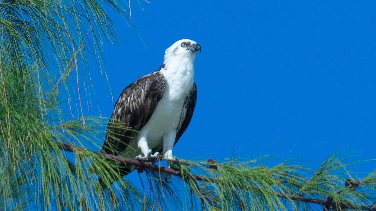 Photo of Others in Providenciales