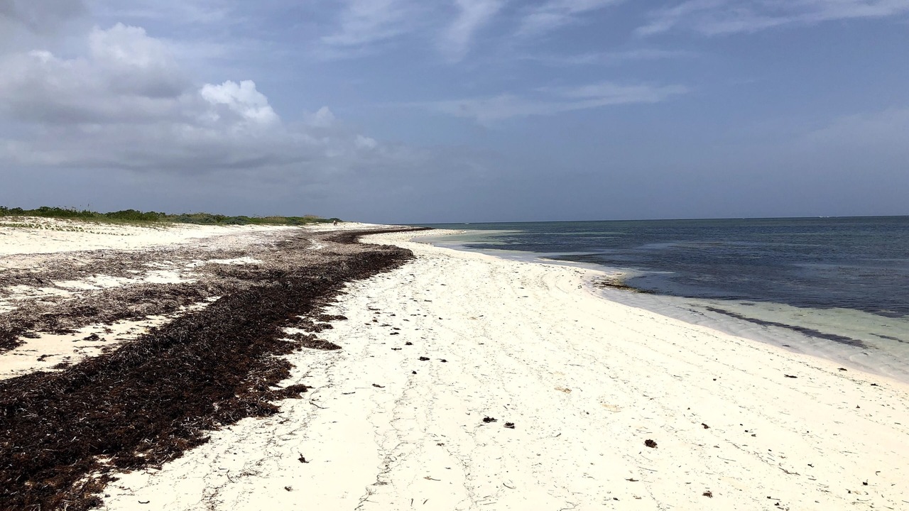 Photo of Others in Providenciales