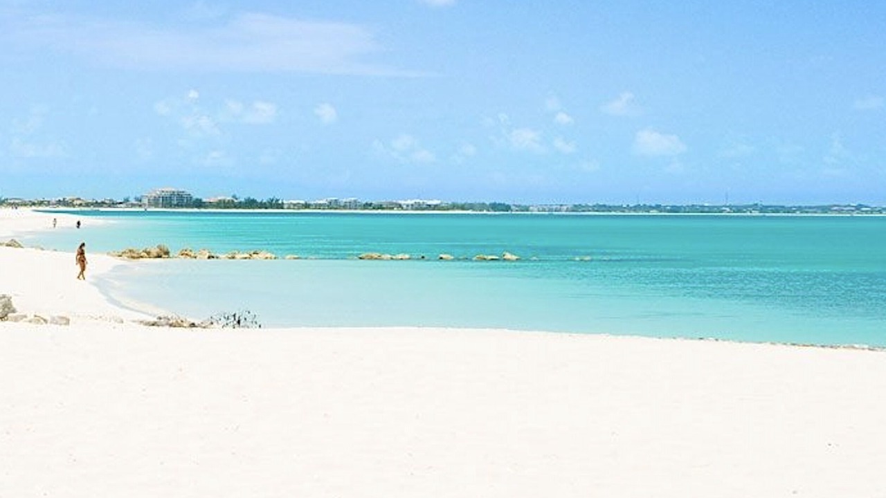 Photo of Others in The Bight